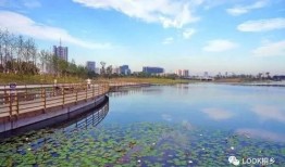 桐乡凤凰湖爆料最新,揭秘湖畔新动态与未来规划